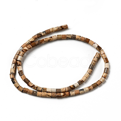Natural Picture Jasper Beads Strands G-I326-09-1