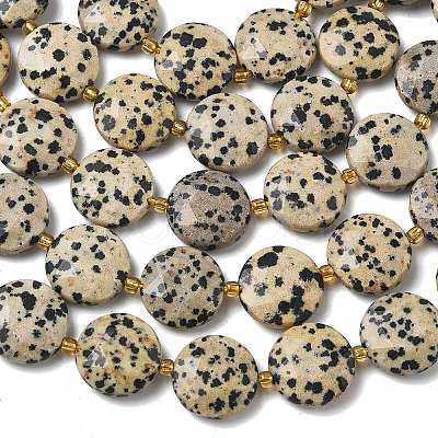 Natural Dalmatian Jasper Beads Strands G-A292-A06-01-1