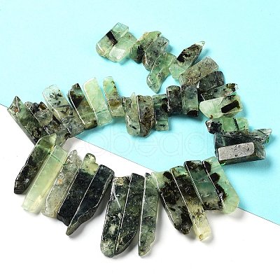 Natural Prehnite Beads Strands G-L551B-12-1