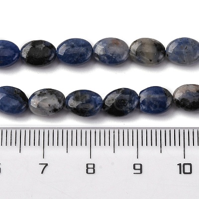 Natural Sodalite Beads Strands G-Z006-A39-1