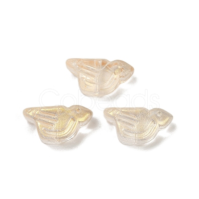 Transparent Glass Beads DGLA-E004-13J-1