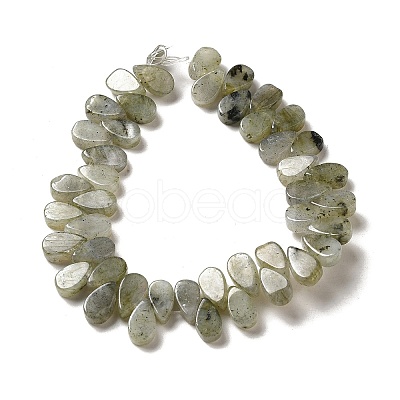 Natural Labradorite Beads Strands G-B064-B62-1