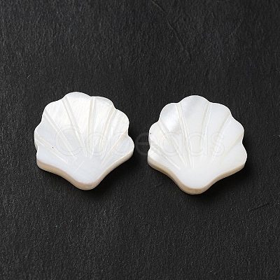Natural Freshwater Shell Beads BSHE-E026-06-1