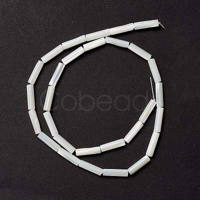 Natural Trochid Shell/Trochus Shell Beads SSHEL-O001-26B-1