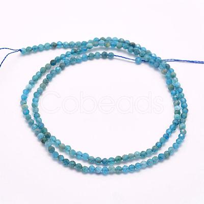 Natural Apatite Beads Strands G-F509-17-4mm-1
