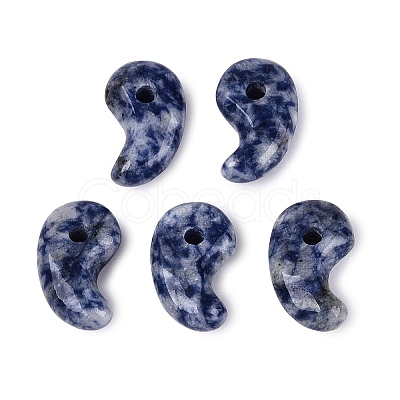 Natural Blue Spot Jasper Pendants G-S294-07B-14-1