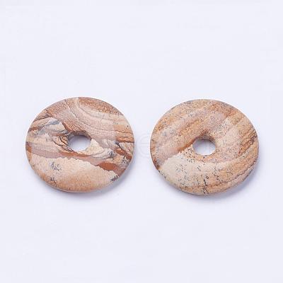 Natural Picture Jasper Pendants G-F524-H04-1