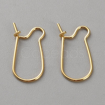 Brass Hoop Earrings Findings DIY-WH0888-394A-01-1