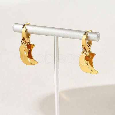 304 Stainless Steel Hoop Dangle Earrings for Women PJ4244-1