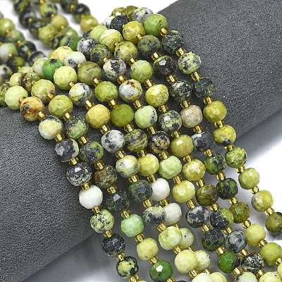 Natural Serpentine Beads Strands G-K389-E58-01-1