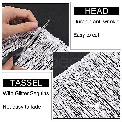 5M Sparkle Polyester Tassel Lace Trim OCOR-OC0001-38A-1