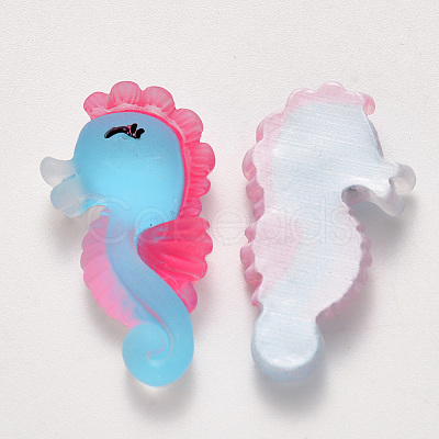 Translucent Frosted Resin Cabochons LS-CRES-N022-10-1