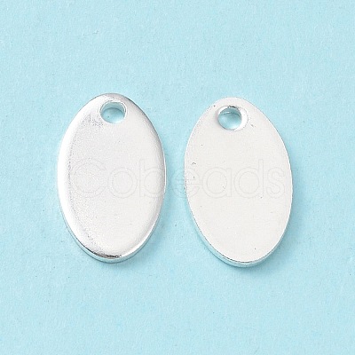 304 Stainless Steel Charms STAS-L234-065A-S-1