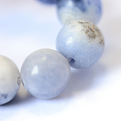 Natural Sodalite Round Bead Strands G-E334-8mm-08-1