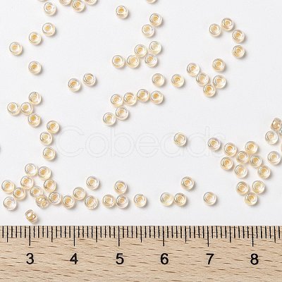 MIYUKI Round Rocailles Beads X-SEED-G008-RR0282-1