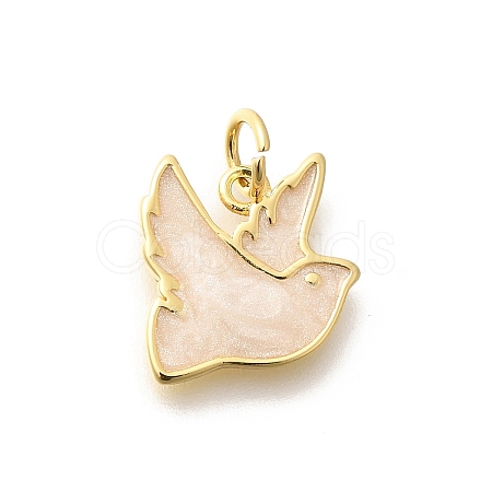 Brass Enamel Charms KK-L225-044G-1
