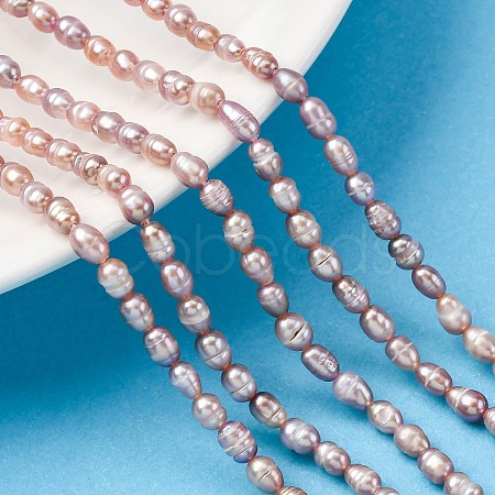 Natural Cultured Freshwater Pearl Beads Strands PEAR-I007-01L-02-1