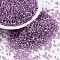 Cylinder Seed Beads, Silver Lined, Round Hole, Uniform Size, Dark Violet, 2x1.5mm, Hole: 0.8mm, about 888pcs/10g