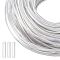 SUPERDANT 30M Aluminum Wire, Round, for Hat, Hair Ornament Making, with 100Pcs Silicone End Caps, Platinum, 9 Gauge, 3mm