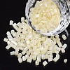 8/0 Two Cut Glass Seed Beads SEED-S033-07A-02-1