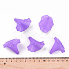 Transparent Acrylic Beads X-BSF796-C26-6