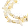 Natural Freshwater Shell Beads Strands BSHE-G036-02-3