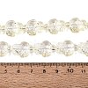Transparent Glass Beads Strands DGLA-N021-02A-10-4