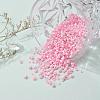 Glass Seed Beads X-SEED-S059-010-7