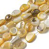 Natural Yellow Shell Beads Strands SSHEL-H072-08-1