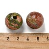 Natural Unakite Beads G-G147-01J-3