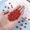 Transparent Acrylic Beads X-PL554-01-6