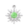 Alloy Enamel Pendants ENAM-P245-01P-04-1