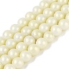 Baking Paint Glass Pearl Beads Strands DGLA-ZX001-05A-04-1