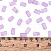 FGB Frosted Transparent Glass Seed Beads SEED-N013-05A-07-4