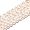 Natural Cultured Freshwater Pearl Beads Strands PEAR-N024-03-4AB-2