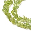 Natural Peridot Beads Strands G-F328-34A-4