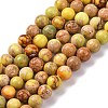 Dyed Natural Regalite/Imperial Jasper/Sea Sediment Jasper Beads Strands G-B124-C02-04-1