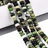 Natural Serpentine Beads Strands G-N367-02A-14-1