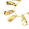 AB Color Plated Dyed Natural Freshwater Shell Beads Strands X-SHEL-T020-55D-3