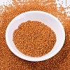 MIYUKI Delica Beads SEED-JP0008-DB0681-2