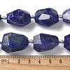 Natural Lapis Lazuli Beads Strands G-H095-A09-01-4