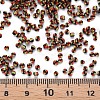 12/0 Glass Seed Beads SEED-S005-12-4