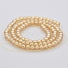 Pearl Luster Plated Glass Round Beads Strands GLAA-A025-4mm-PL01-2