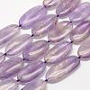 Natural Ametrine Beads Strands G-G695-07-1