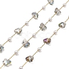 Butterfly Glass & ABS Plastic Pearl Beaded Link Chains CHS-G028-02G-01-1