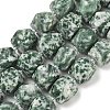 Natural Green Spot Jasper Beads Strands GG-CBAF8A8-A01-01-2