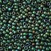 TOHO Round Seed Beads X-SEED-TR08-0710-2
