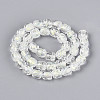 Handmade Foil Lampwork Beads Strands FOIL-T008-01H-1