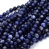 Round Natural Sodalite Beads Strands X-G-F222-39-12mm-1
