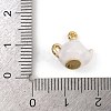Alloy Enamel Charms ENAM-I067-02G-02-3